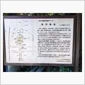 埼玉県氷川神社参拝_2021 ...