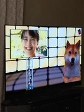 眞子さま満面の笑み?(*^^*) 眞子さま満面の笑み?(*^^*)