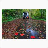 2021紅葉狩り③-3　林道 ...