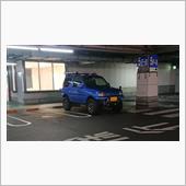 今日は依頼されたので