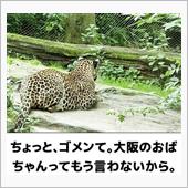 サンバーPower　up計画 ...