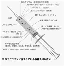 やっと明記する気に成ったが････コロナワクチンの真実？