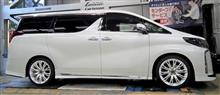 TRDフロントスポイラーを装着していましたが、横と後ろが寂しいのでWALD EXECUTIVE LINE サイド＆リアスカートを装着。ジャストなボリューム感がステキです。
