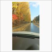 通勤途中の紅葉