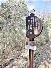 324🔖箱根三社参り<⛩九頭龍神社&⛩白龍神社>...『開運巡り』...『64』 324🔖箱根三社参り<⛩九頭龍神社&⛩白龍神社>...『開運巡り』...『64』