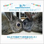 祝・みんカラ歴12年！