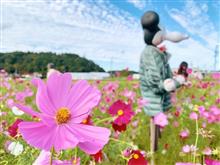 アグリのコスモス畑で待っていたのは…Σ(,,ºΔº,,*) アグリのコスモス畑で待っていたのは…Σ(,,ºΔº,,*)