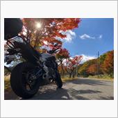 砥峰高原周回ハイク🏍🏔