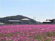 週末…。