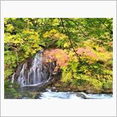 中野もみじ山～城ヶ倉大橋・帰 ...