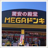 ミニカー調査隊🚗+🦎+🛻