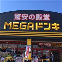ミニカー調査隊🚗+🦎+🛻