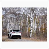 RAV4 PHV で紅葉を探 ...