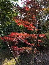 近所の登山