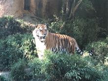 コロナ明け2年ぶり多摩動物園