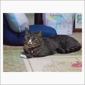 今日は、１日実家です。