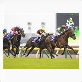 週末の競馬を振り返る（天皇賞 ...