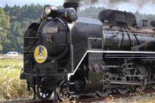 復活のD51、やまぐち号撮影へ♪