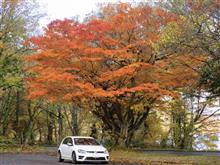 ２０２１紅葉の十和田湖〜前編〜