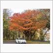 ２０２１紅葉の十和田湖〜前編〜