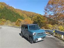 岐阜県ハイドラCP緑化コンプリートしました! 岐阜県ハイドラCP緑化コンプリートしました!