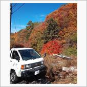 今年もや～～っと、紅葉が見頃 ...