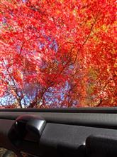 群馬県へ紅葉狩り