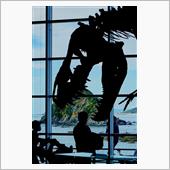 キョウリュウハクブツカンオ～ ...