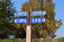 秋深まる北海道へ④　美瑛・JR富良野線など　(2021 .10) 