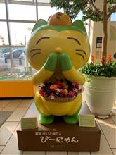 かなり後悔？だけども前を向いていこう。