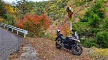 そろそろ近畿も紅葉なので高野山へ