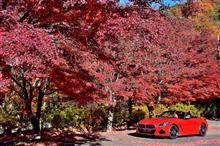 紅葉ドライブ2021第六弾　～那須塩原～