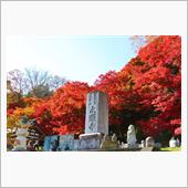 北関東ドライブ　永源寺 🍁 ...