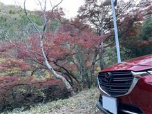 桐生川上流の紅葉