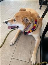 部品持ち込み🐾