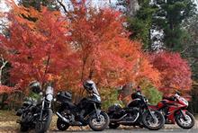 紅葉を探しに。 紅葉を探しに。