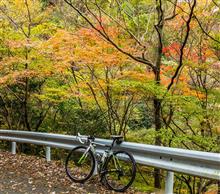 週末のサイクリング --- 紅葉狩り。