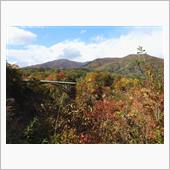 紅葉(のちょっと手前？)