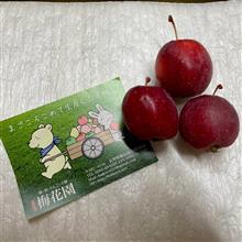 うちに”りんご”と”りんご製品”がやってきました🍎♫
