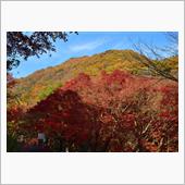 紅葉狩り(永源寺界わい) 付 ...
