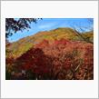 紅葉狩り(永源寺界わい) 付録(識廬ノ滝)