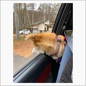 びびちゃん試運転ツアー(中込 ...
