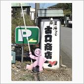 盛りが良いようで