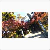 紅葉を見に...そして(その ...