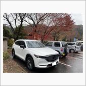 【1年レビュー】良いモノは良 ...
