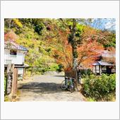 県道4号線沿いにエモーショナ ...