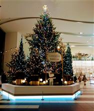 イルミネーション🎄