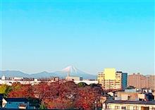 今朝の富士山♪