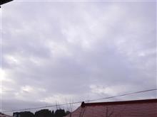 １２月４日　短い週末の休みが始まった土曜日、おはよ～♪