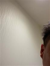 髪の毛の伸びるスピードが人より早いので１６日目